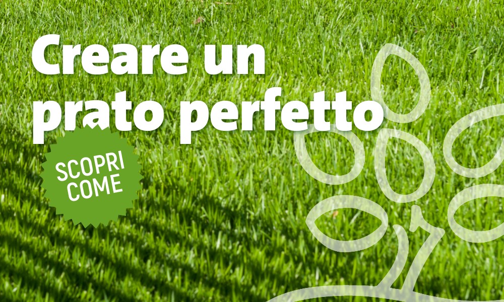 Come creare un prato perfetto